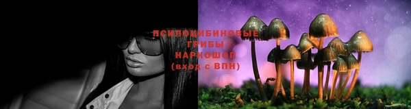 наркотики Алексин